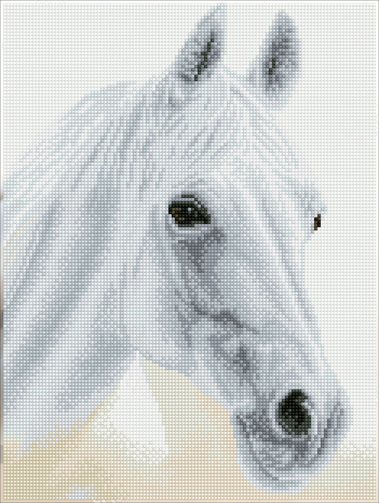 Diamond Dotz Arabian Beauty - 12.2" x 16.1"