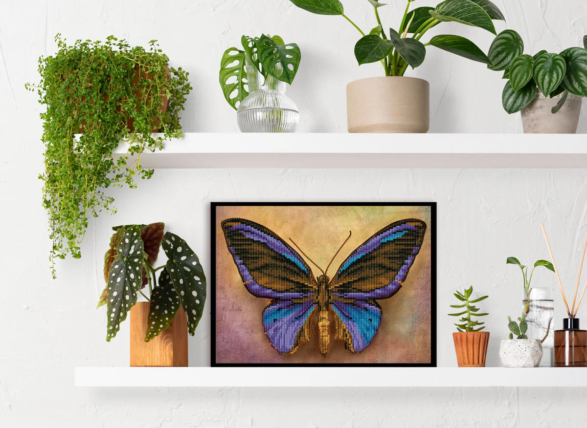 Mauve Butterfly - Image 2
