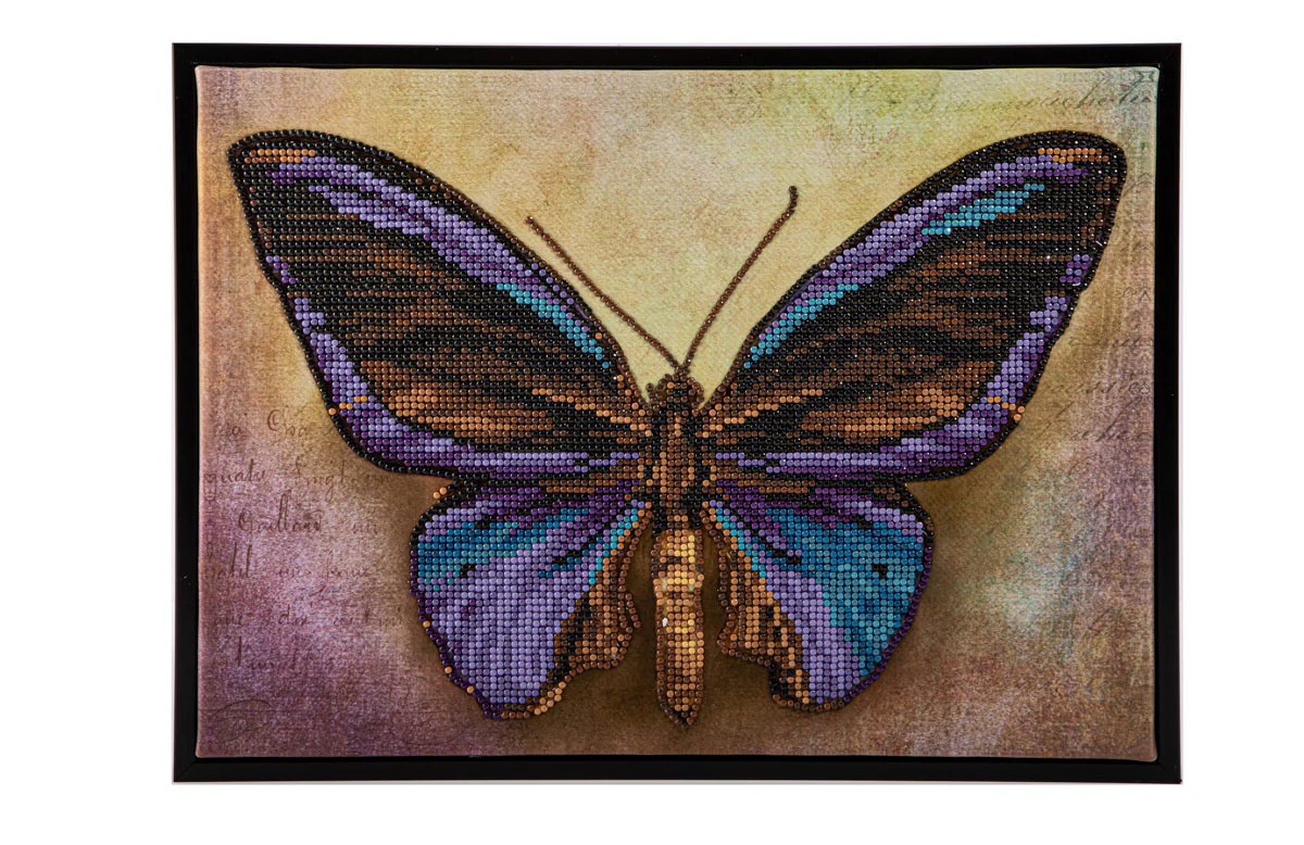 Mauve Butterfly - Image 3