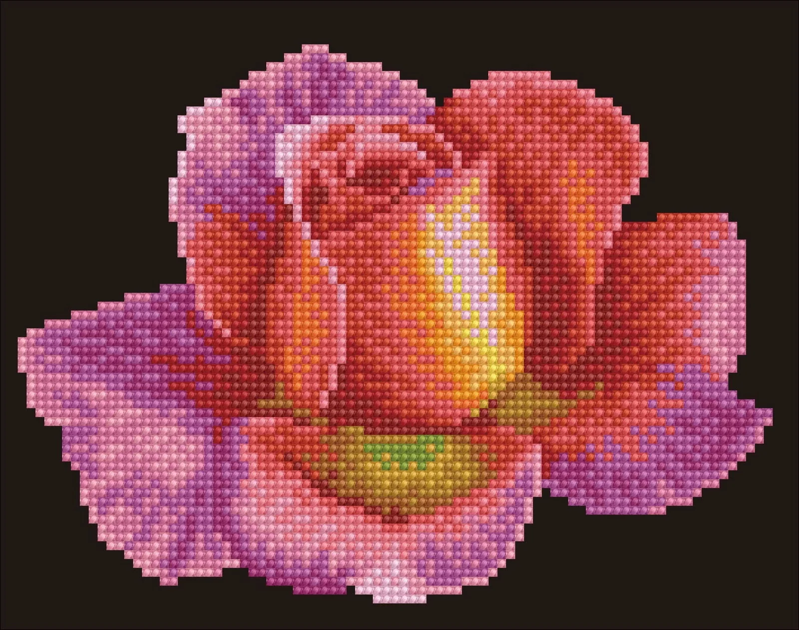 Budding Rose