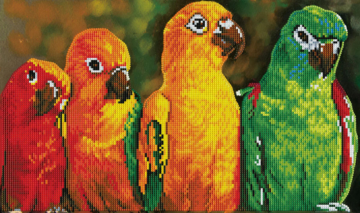Parrots - Image 3