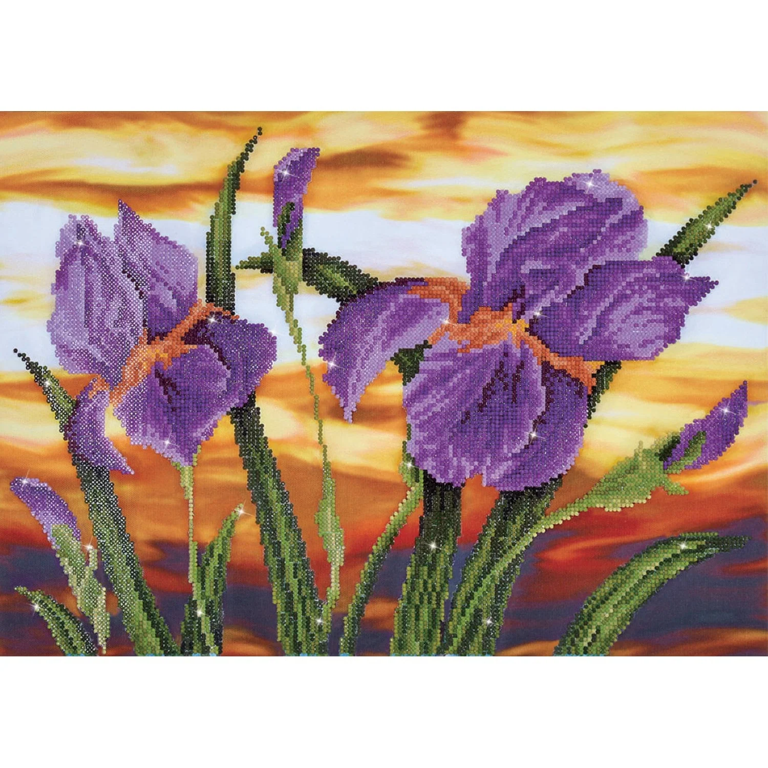 Diamond Dotz Iris Sunset - 20.5" x 14.6"