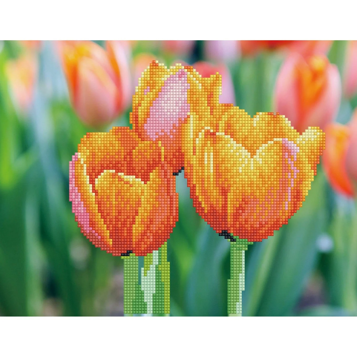 Diamond Dotz Love Tulips - 13.8" x 10.6"