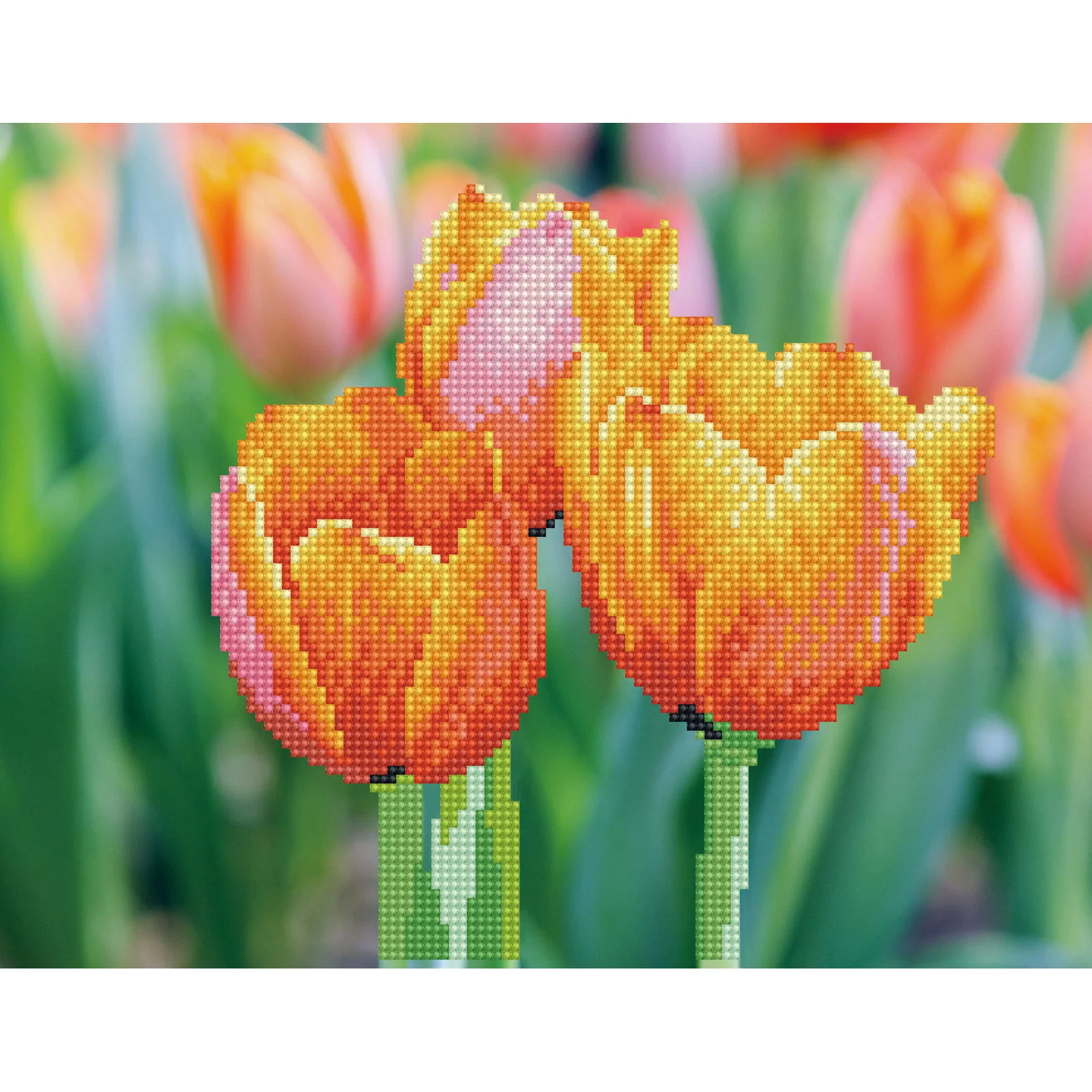 Diamond Dotz Love Tulips - 13.8" x 10.6" - Image 5