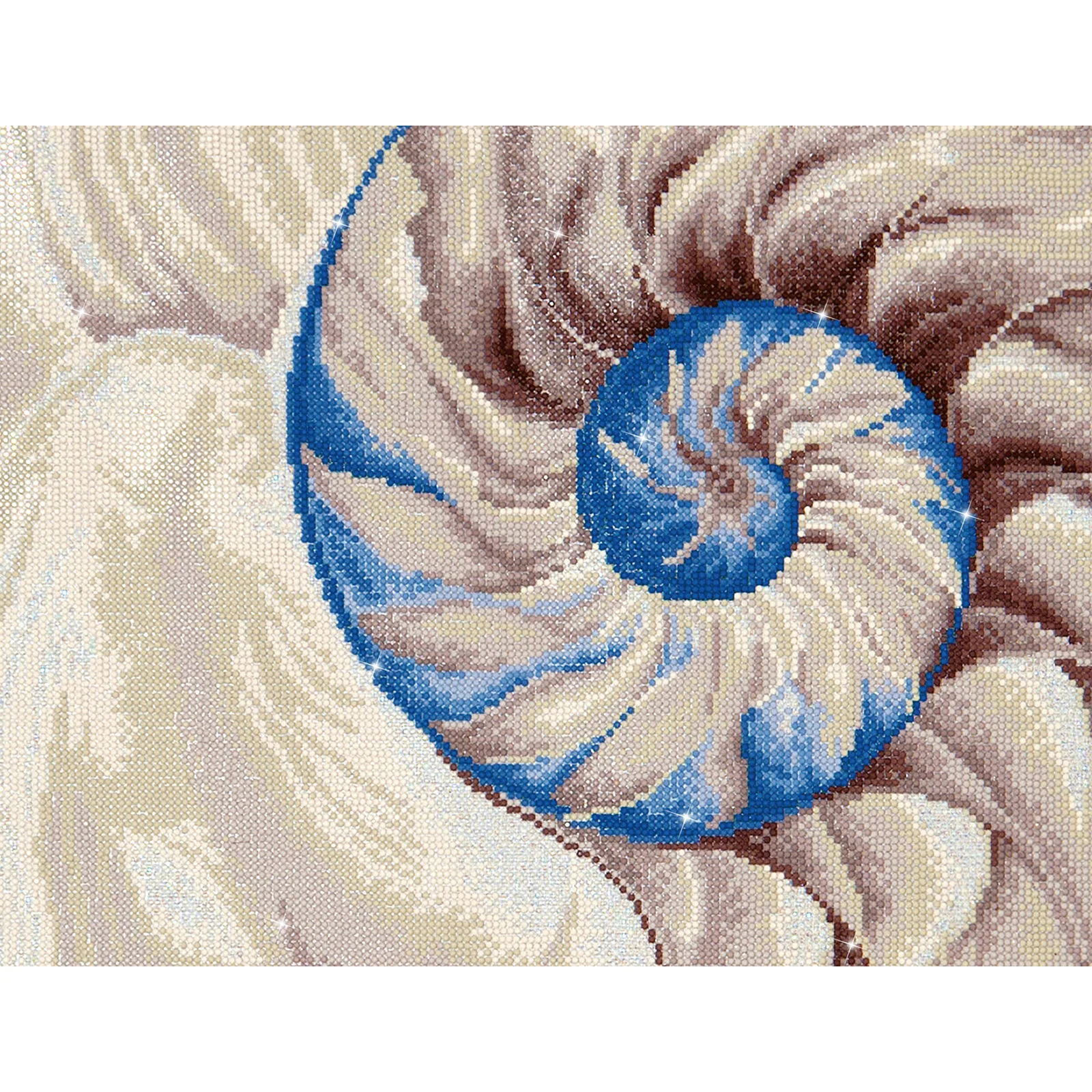 Diamond Dotz Nautilus - 20.5" x 13.8" - Image 5