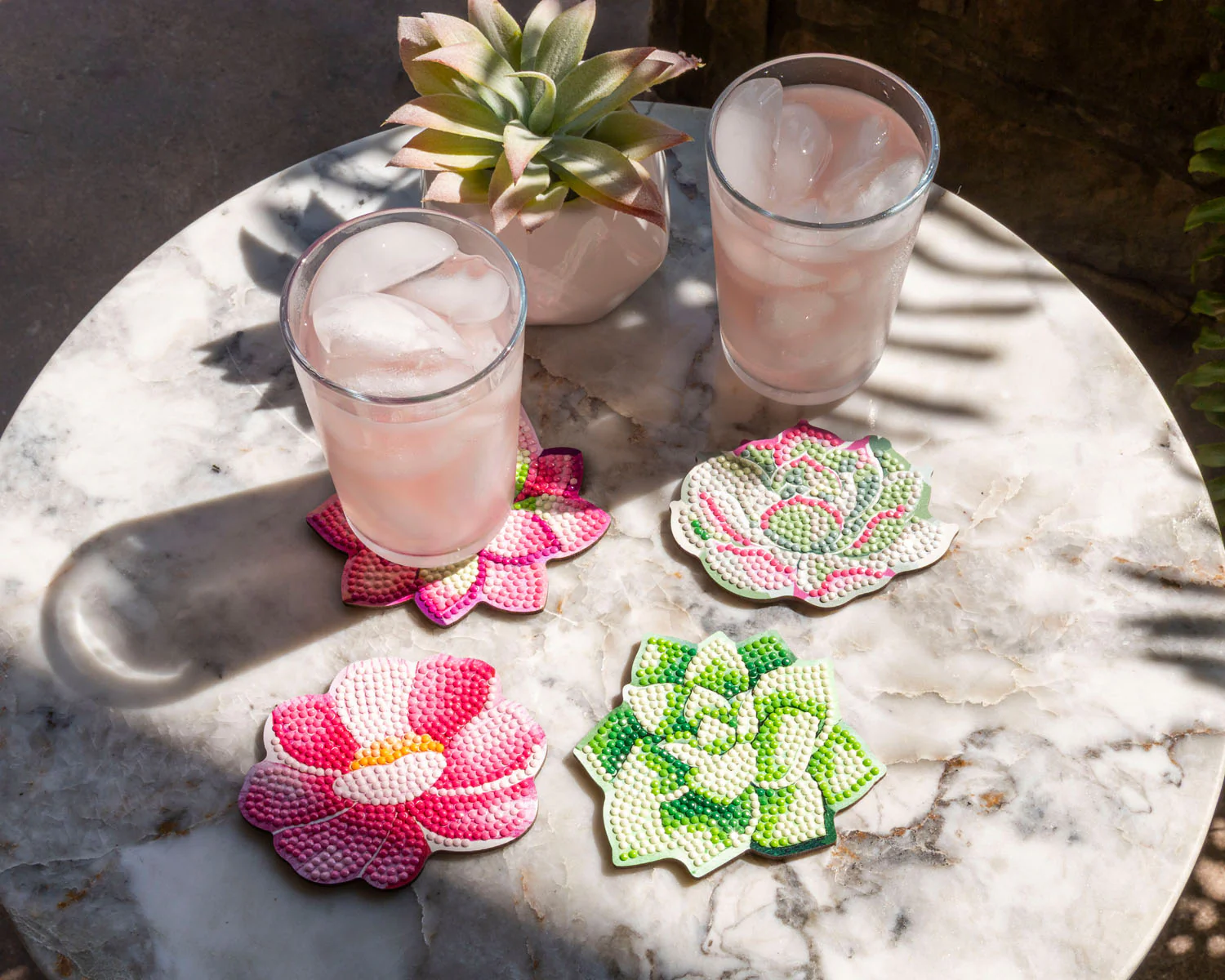 Succulents Coasters - Image 3