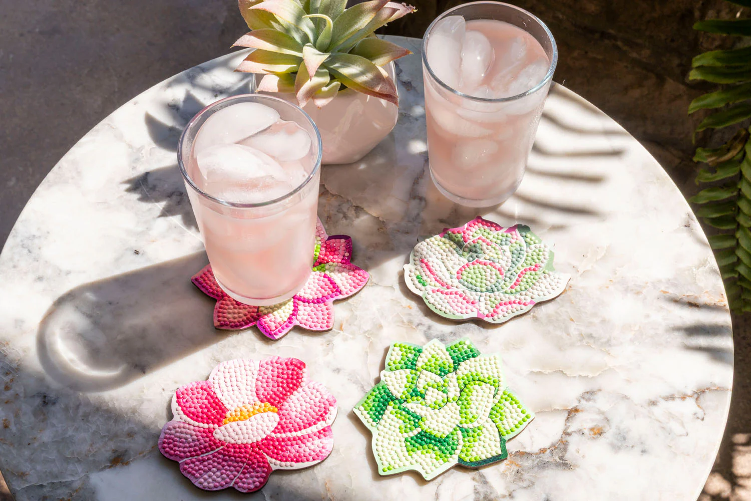 Succulents Coasters - Image 4