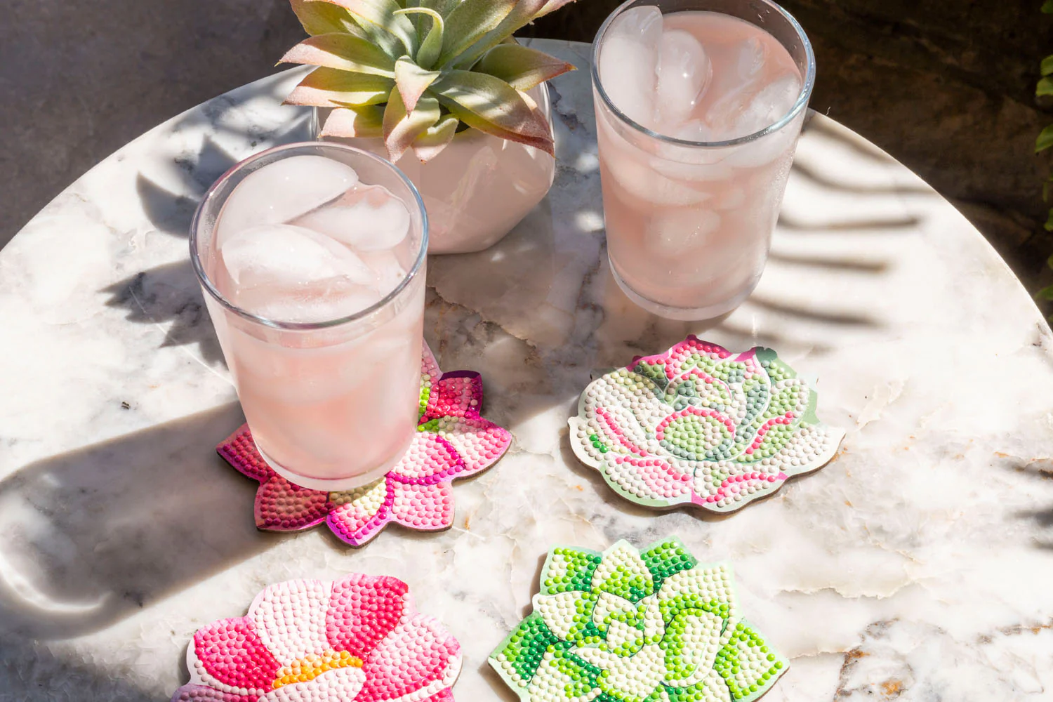 Succulents Coasters - Image 5